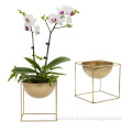 /msite/products/detail/productid/61691327/id/1356447.html